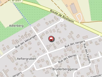 Carte de Transports Blind à Bischoffsheim