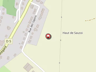 Carte de Saintois Express à Vézelise