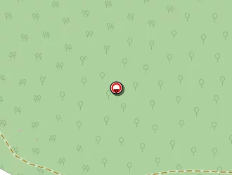 Carte de Bouché Vincent à Badonviller