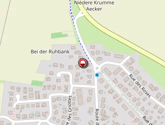 Carte de Nunez Elmer à Lipsheim