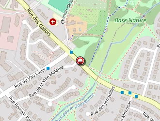 Carte de Bielle Céline à Trégueux