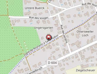 Carte de Schott Albert à Rosheim