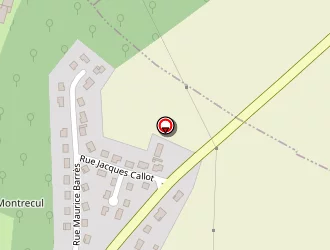 Carte de Bonin Alex à Vézelise