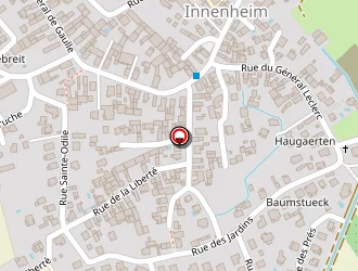 Carte de Boisier Yvan à Innenheim