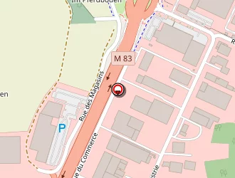 Carte de Buffalo Grill à Fegersheim