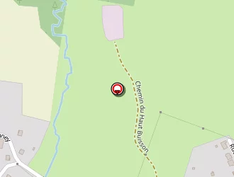 Carte de P.net à Saint-remimont