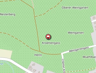 Carte de Rhinn Sylvie à Rosheim