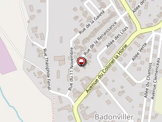 Carte de Mairie à Badonviller