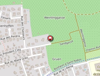 Carte de Skate Park à Rosheim