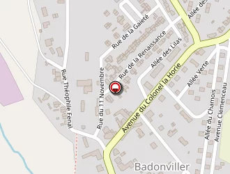 Carte de Barotte Emilie à Badonviller