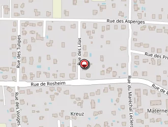 Carte de Remex à Griesheim-près-molsheim