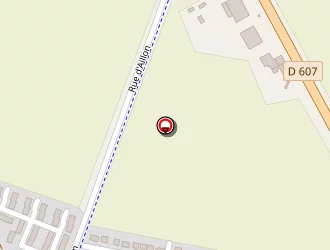 Carte de Bollea Benoît à Boissise-le-roi