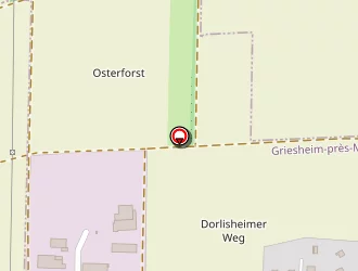 Carte de Tg Services à Griesheim-près-molsheim