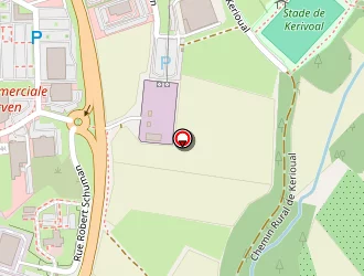 Carte de Cornouaille Lavage à Landivisiau