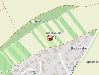 Carte de Meyer Jean Alfred à Blaesheim