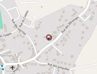 Carte de Dufrène Daniel à Plerneuf