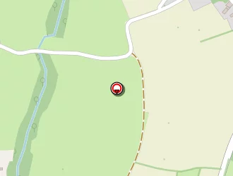 Carte de Flin à Languenan