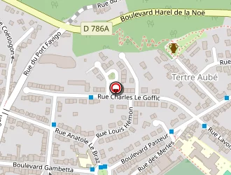 Carte de Leydour David à Saint-brieuc