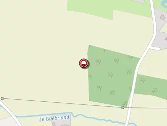 Carte de Emeraude Pelle à Pluduno