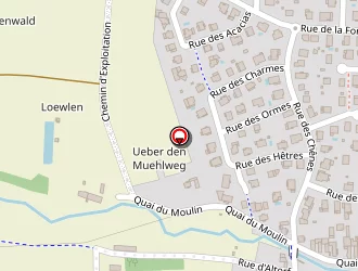 Carte de Schweitz Roland (earl) à Duttlenheim