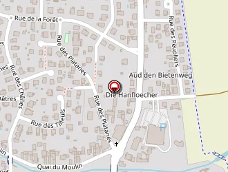 Carte de Id'hall à Duttlenheim