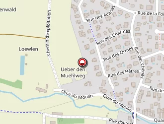 Carte de Buttner Maëlle à Duttlenheim