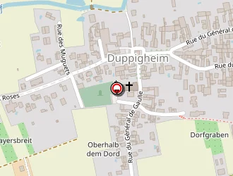 Carte de Fausser Michel à Duppigheim