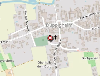 Carte de Elles Francis à Duppigheim