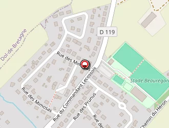 Carte de Dg Entreprise à Baguer-morvan