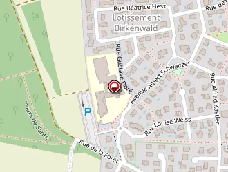 Carte de Gastiger Alain à Duttlenheim