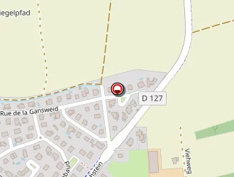 Carte de Angelo Antoine à Altorf