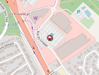 Carte de Bothorel Sylvie à Plérin