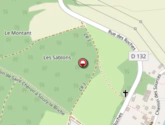 Carte de Flory Nicolas à Souzy