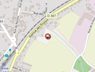 Carte de Rousselin Patrick à Pleine-fougères