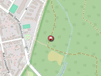 Carte de Barduc Lajos à Strasbourg