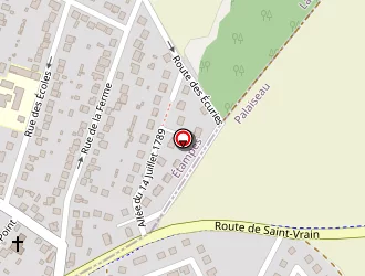 Carte de Lepicier Christophe à Saint-vrain