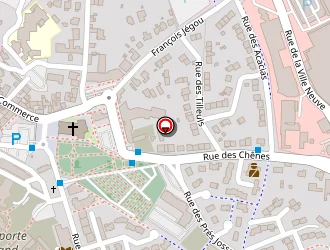 Carte de Autosur Tuv Dcta à Plérin