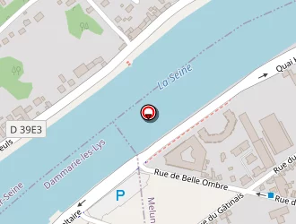 Carte de Biechel Pascal à Mée-sur-seine (le)