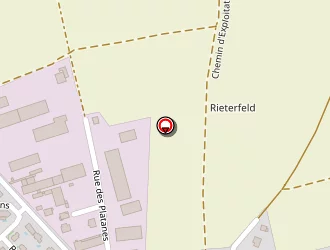 Carte de Reiss Brigitte à Duppigheim