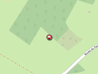 Carte de Correyeur Pascal à Saint-patrice-du-désert