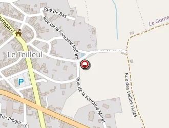 Carte de Coccinelle à Teilleul (le)