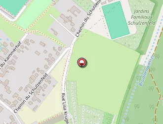 Carte de Bethesda Services à Strasbourg