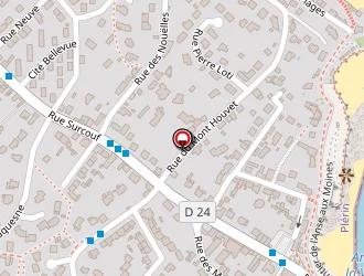 Carte de Le Borgne Alain à Plérin