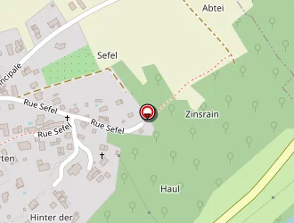 Carte de Cegoni Nicolas à Heiligenberg