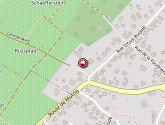 Carte de Lotz Jérémie à Molsheim