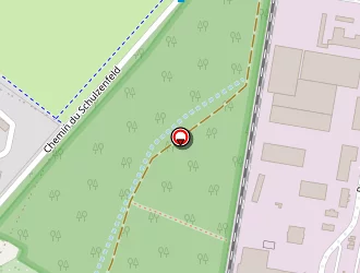 Carte de Nestra à Strasbourg