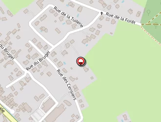 Carte de Husselstein Christophe à Niederhaslach