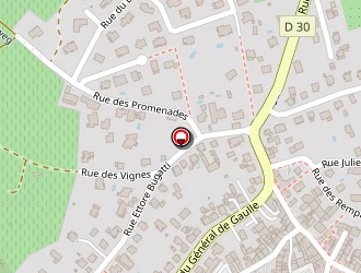 Carte de Klingenfus Alain (earl) à Molsheim