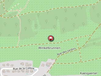 Carte de Antoni à Dinsheim sur bruche