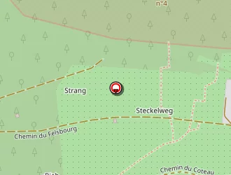 Carte de Grenier Patrice à Mutzig